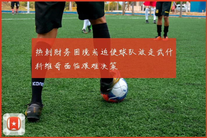 热刺财务困境或迫使球队放走武什科维奇面临艰难决策